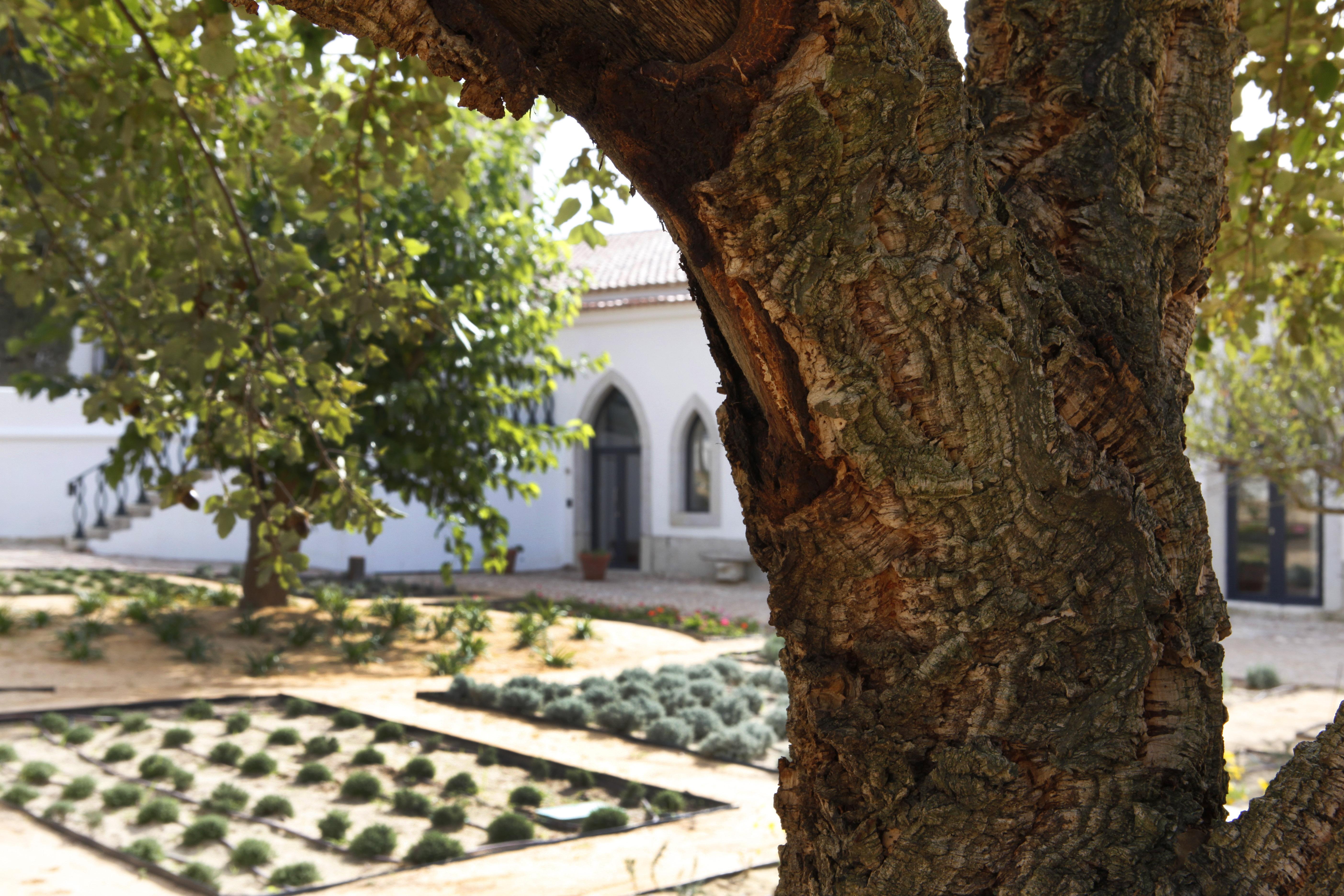 Hotel Casa Palmela - Small Luxury Hotels Of The World, Hotel & Villas Setubal Luaran gambar