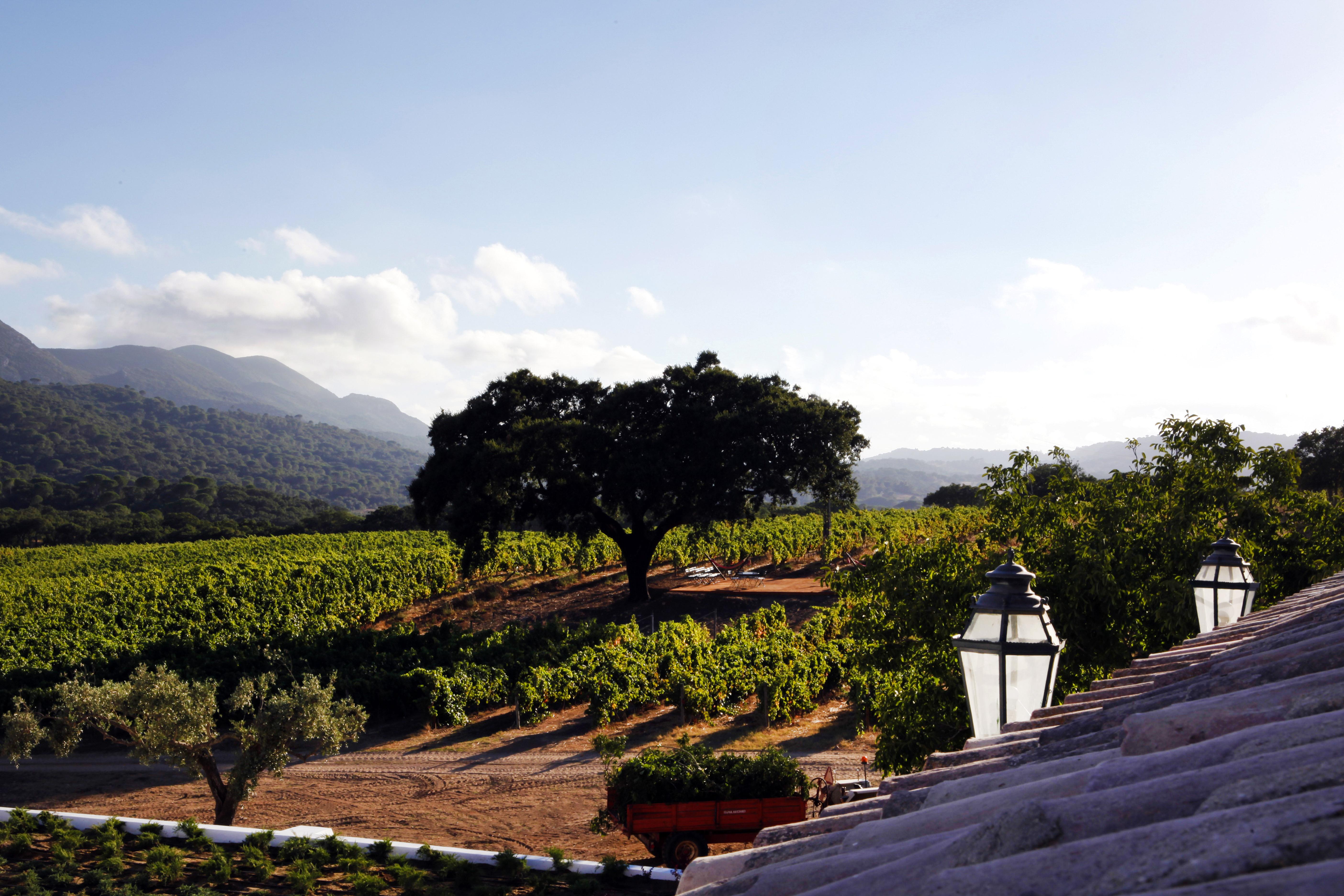Hotel Casa Palmela - Small Luxury Hotels Of The World, Hotel & Villas Setubal Luaran gambar