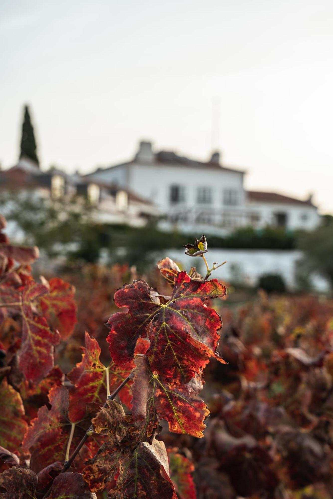 Hotel Casa Palmela - Small Luxury Hotels Of The World, Hotel & Villas Setubal Luaran gambar